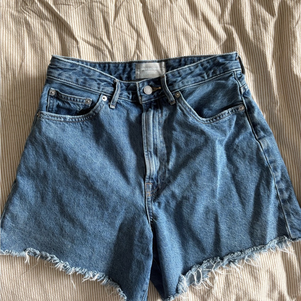 Everlane Blue Jean Shorts Distressed Cut-Off Style